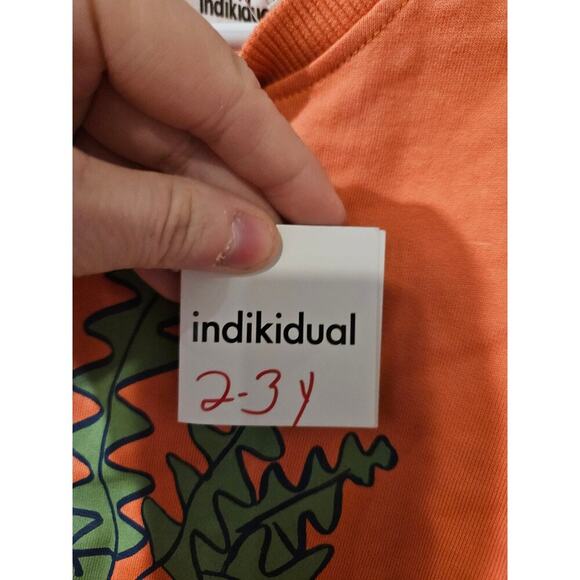 Indikidual Orange Zig Zag Cactus Long Sleeve Sweatshirt Size 2/3y‎ NWT - Picture 4 of 9